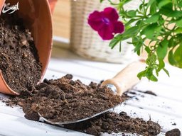 تفاوت بین خاک باغچه و گلدان چیست ؟ و انواع خاک را بشناسید