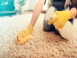 طریقه صحیح کشیدن شامپو فرش ( چگونه شامپو فرش بکشیم)