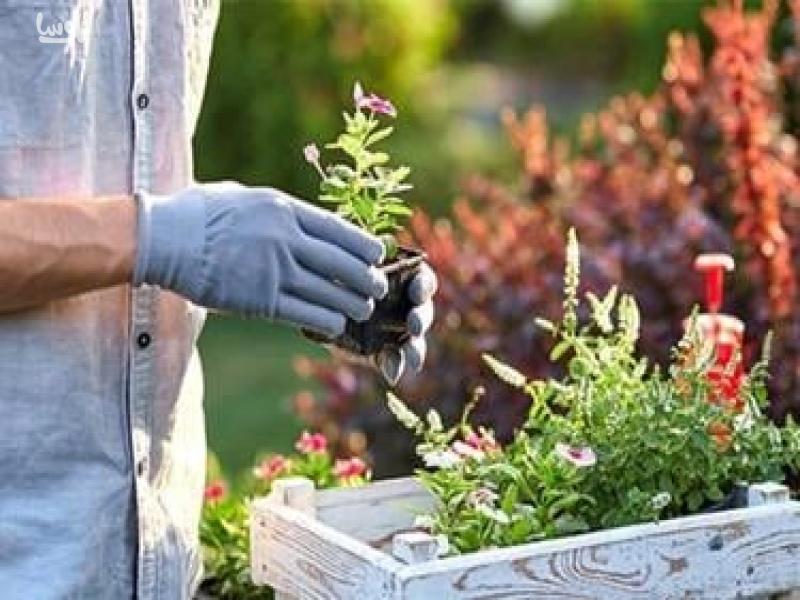 باغبانی چگونه شغلی است